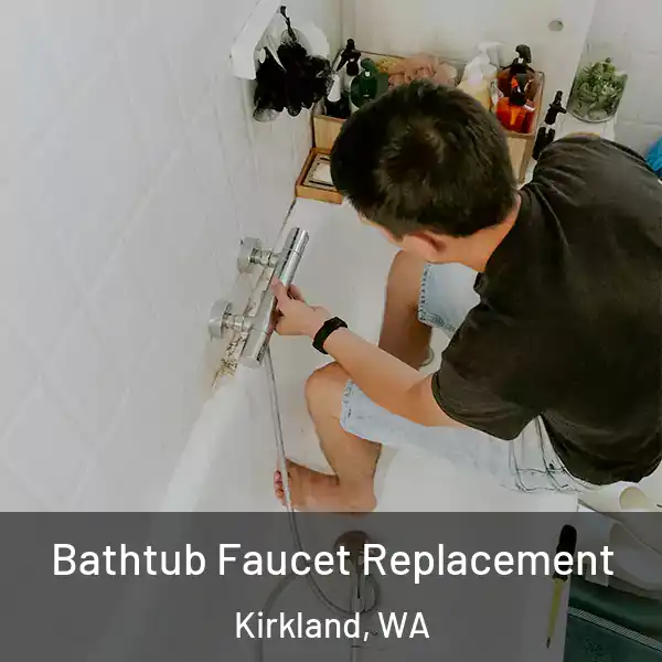  Bathtub Faucet Replacement Kirkland, WA