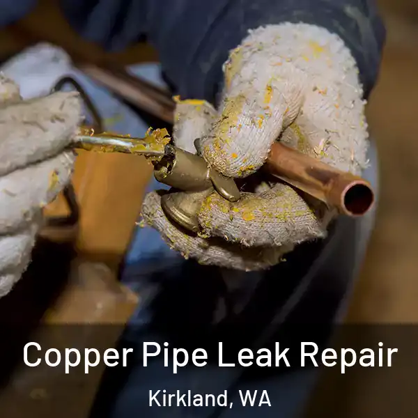  Copper Pipe Leak Repair Kirkland, WA