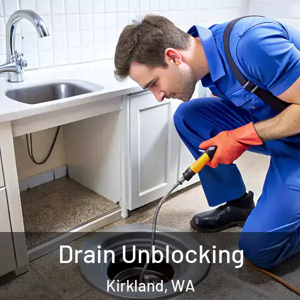  Drain Unblocking Kirkland, WA