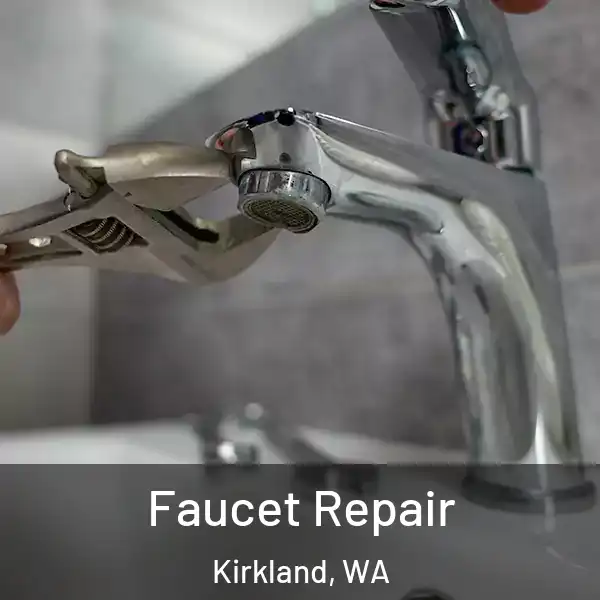  Faucet Repair Kirkland, WA