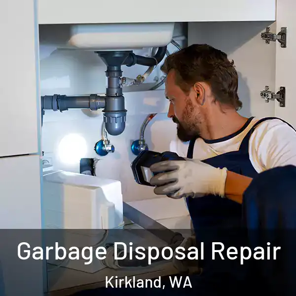  Garbage Disposal Repair Kirkland, WA