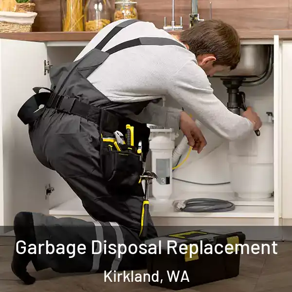  Garbage Disposal Replacement Kirkland, WA