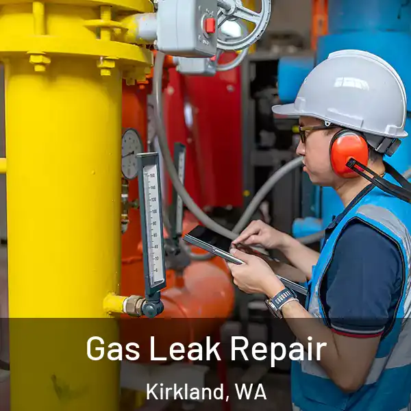  Gas Leak Repair Kirkland, WA