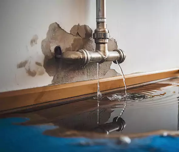 Professional Water Damage Restoration Experts in Kirkland, WA — Fast, Reliable & Certified