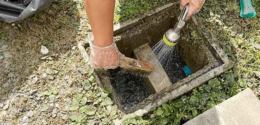 Professional Grease Trap Cleaning Services in Kirkland, WA