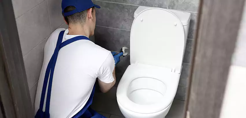 Toilet Lid Replacement in Kirkland