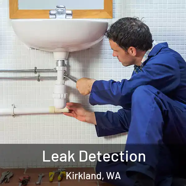  Leak Detection Kirkland, WA