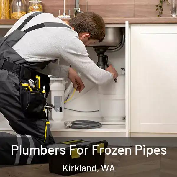  Plumbers For Frozen Pipes Kirkland, WA