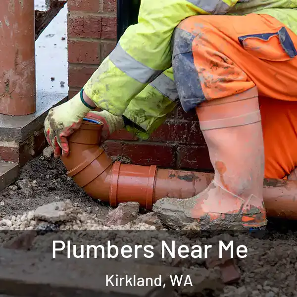 Plumbers Near Me Kirkland, WA