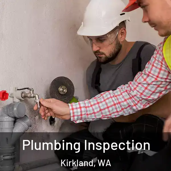  Plumbing Inspection Kirkland, WA