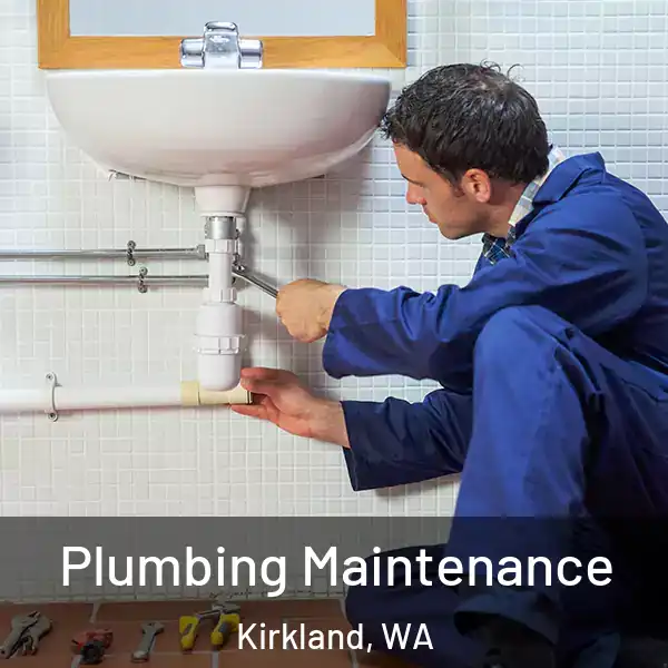  Plumbing Maintenance Kirkland, WA