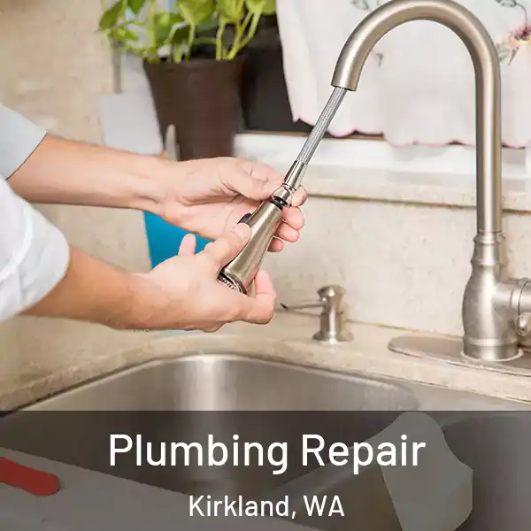  Plumbing Repair Kirkland, WA