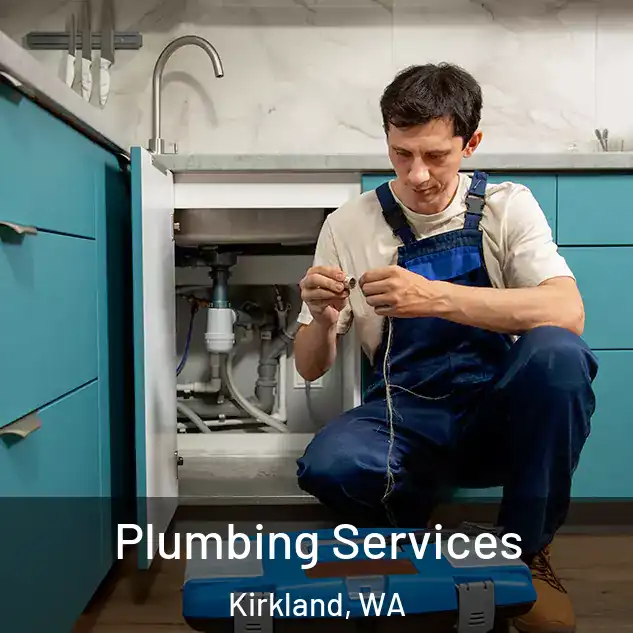 Plumbing Services Kirkland, WA