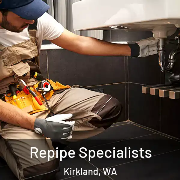  Repipe Specialists Kirkland, WA