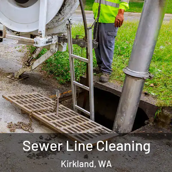  Sewer Line Cleaning Kirkland, WA