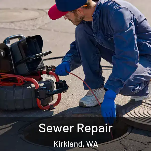 Sewer Repair Kirkland, WA
