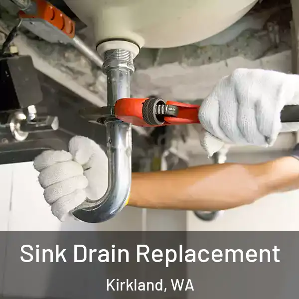  Sink Drain Replacement Kirkland, WA