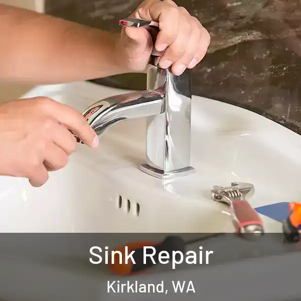  Sink Repair Kirkland, WA