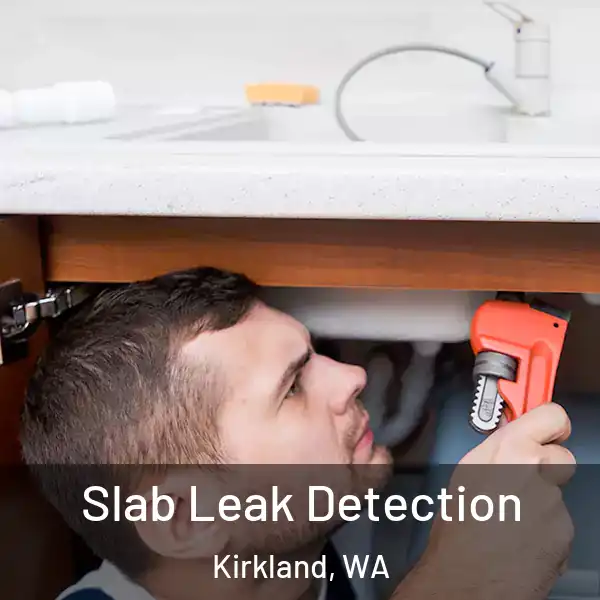  Slab Leak Detection Kirkland, WA