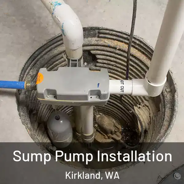  Sump Pump Installation Kirkland, WA