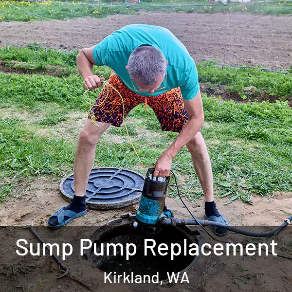  Sump Pump Replacement Kirkland, WA