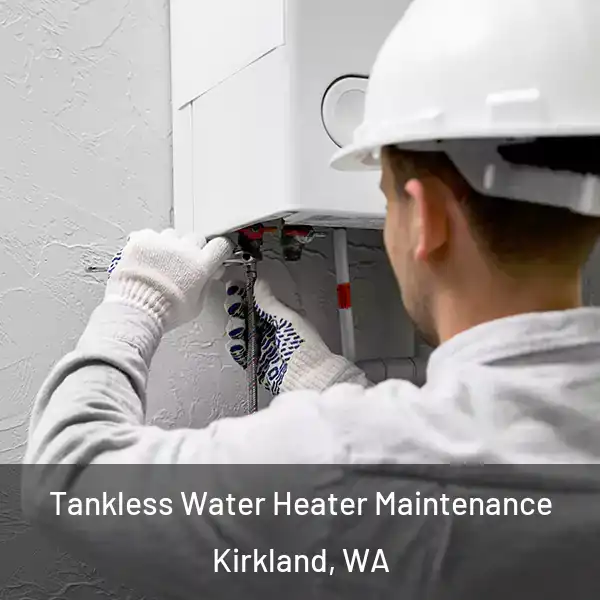  Tankless Water Heater Maintenance Kirkland, WA