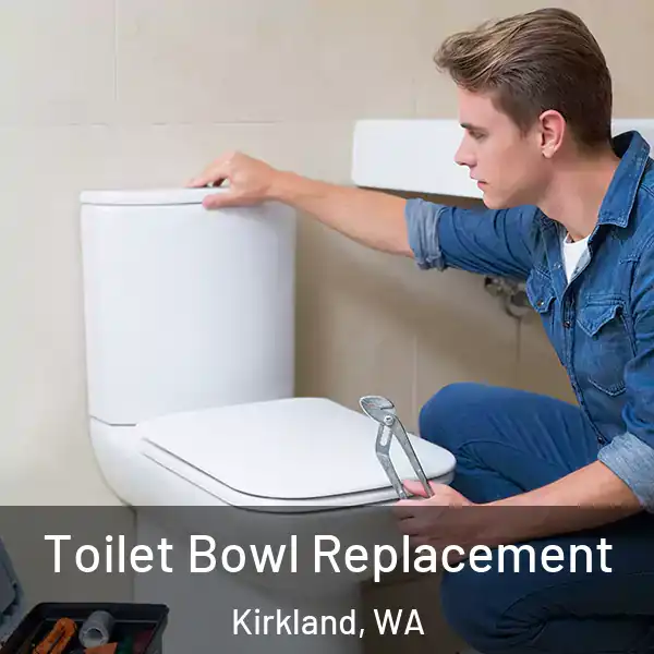  Toilet Bowl Replacement Kirkland, WA