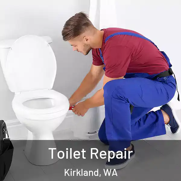  Toilet Repair Kirkland, WA