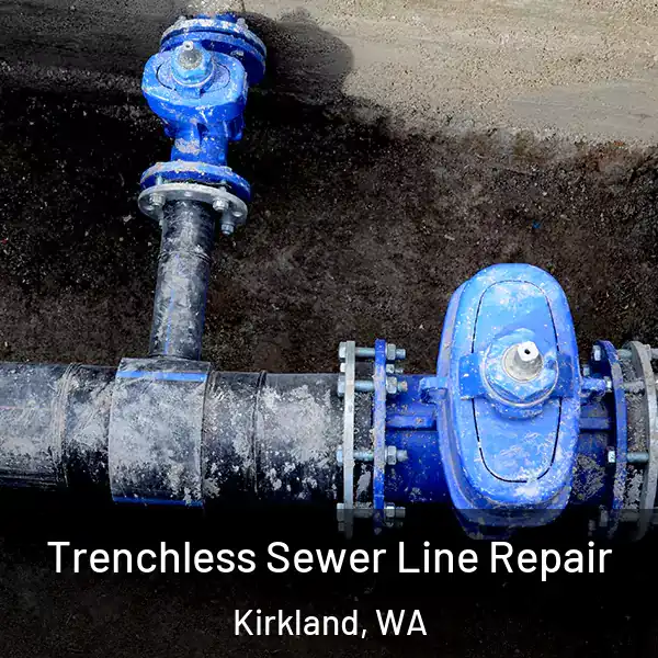  Trenchless Sewer Line Repair Kirkland, WA