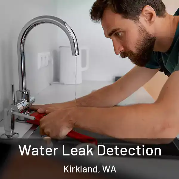  Water Leak Detection Kirkland, WA