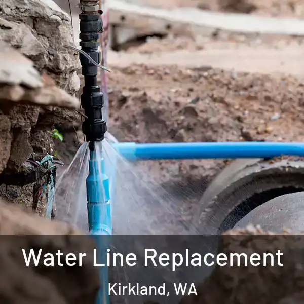  Water Line Replacement Kirkland, WA