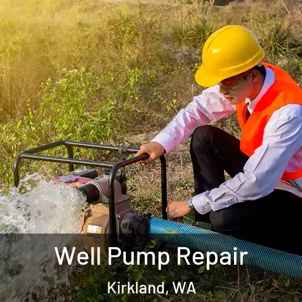  Well Pump Repair Kirkland, WA