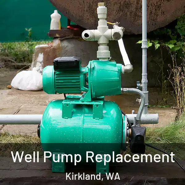  Well Pump Replacement Kirkland, WA